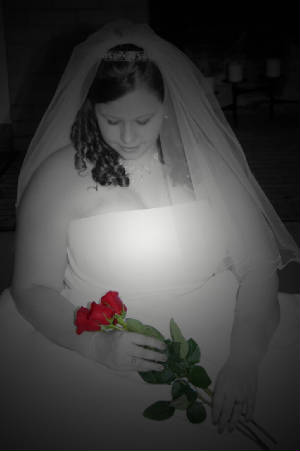 rose1.jpg